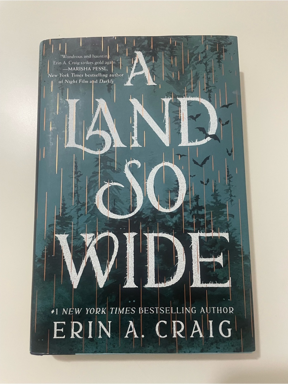 A Land So Wide Wall Book by Erin A. Craig *2 for $15*